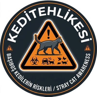 Kedi Tehlikesi's profile picture