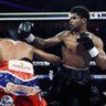 FIGHTERHOLIC🥊 profil fotoğrafı