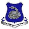 365th Infantry Harlem Hellfighters #OpHellfighters 的头像