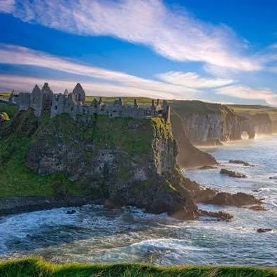 Flavour of Ireland's profile picture