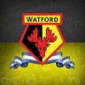 Profilbild von Watford Argentina 🐝🇦🇷