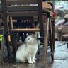 秦发财 的头像