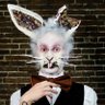 Rabbit92 🇩🇿🇩🇿's profile picture