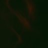 つづく。's profile picture