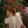 Noah McLaughlin's profile picture