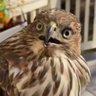J H profil fotoğrafı