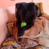 RasaSaSalasa profil fotoğrafı