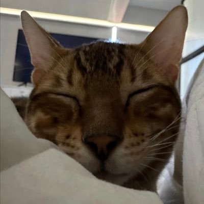 Sasha Ferro's profile picture