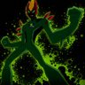 Swampfire06 profil fotoğrafı