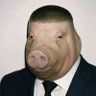 NPC's profile picture