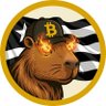 João Galt 🐍's profile picture
