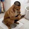 bernardhito profil fotoğrafı