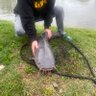 Shane Mitchell's profile picture