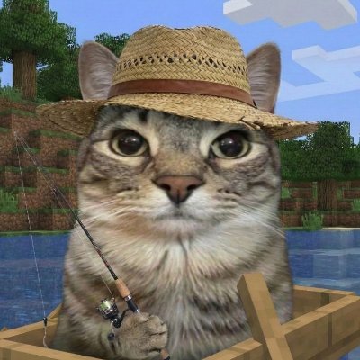 cowourt's profile picture
