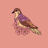 Фото профиля THE MOURING DOVES