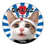 木戸愛落's profile picture
