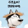 跨境猫 profil fotoğrafı