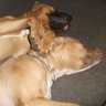 Dorothy Jean's profile picture