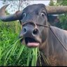 Yogi ๐ช's profile picture