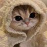 はくあちょす's profile picture