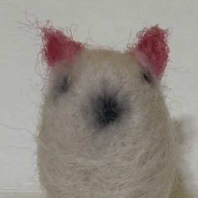 Qouzoi's profile picture