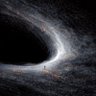 Profilbild von 大偷唐纳德