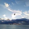 Murat 🇹🇷's profile picture
