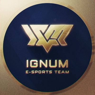 IGM_Esports's profile picture