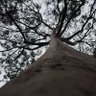 Фото профиля leonsang
