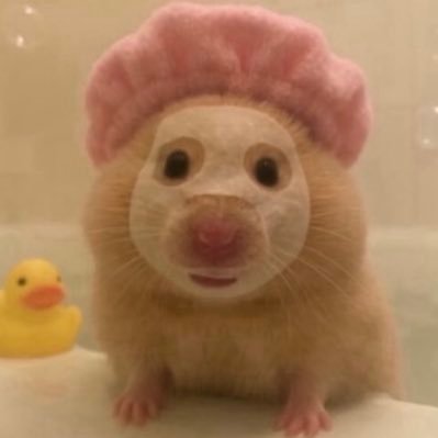 ㄅ's profile picture