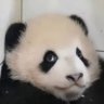 パンダ老🙏互f's profile picture