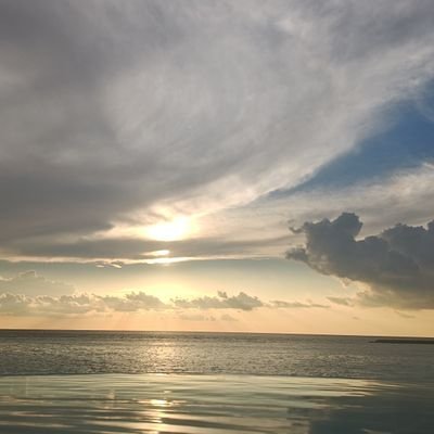 محمد الجاسم's profile picture