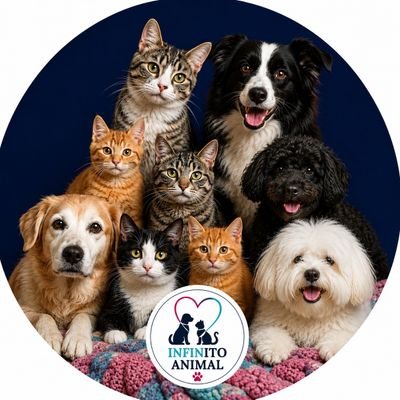 infinitoanimal2's profile picture