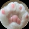 Meow 的头像