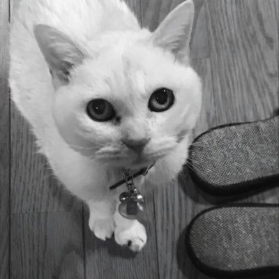 Hiromi1961's profile picture