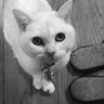Profilbild von Hiromi1961
