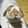 まる's profile picture