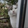 mavi profil fotoğrafı
