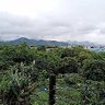 Фото профиля 林進億