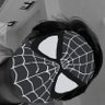 Hindu Spidey 🕸️'s profile picture