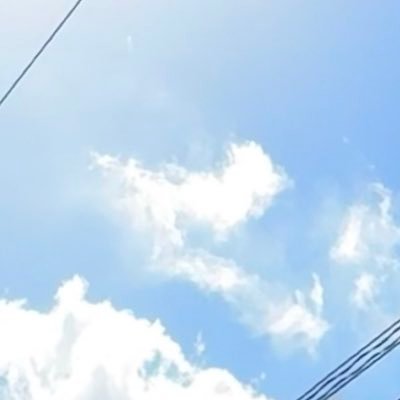 Micco‎︎'s profile picture