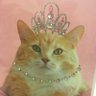 Kimberly M's profile picture