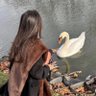 Profilbild von هبـة 🧚♀️