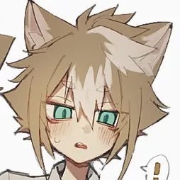 lightroad312's profile picture