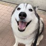 ヘム鉄 profil fotoğrafı