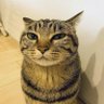 EElesIto's profile picture