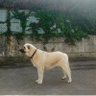 fernandoTG profil fotoğrafı