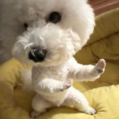 omadayo_'s profile picture