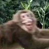 Sho's profile picture