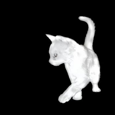 Solkatt_TvT's profile picture